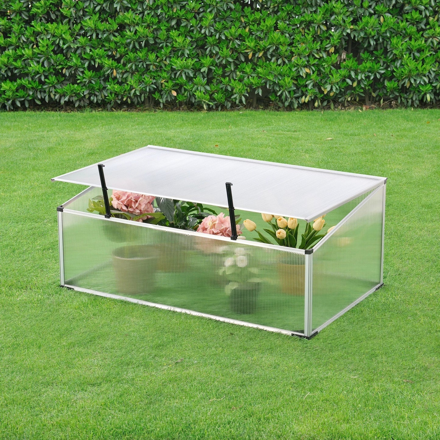 In And OutdoorMatch Greenhouse Rubson - Mini Greenhouse - 100x60x30-40 cm - Aluminium Polycarbonaat - Kunststof - Weerbestendig Materiaal Garden Storage box